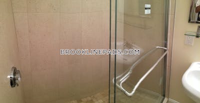 Brookline Apartment for rent 2 Bedrooms 2 Baths  Washington Square - $3,600 No Fee