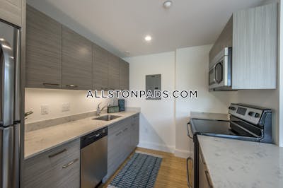 Allston Apartment for rent 2 Bedrooms 2 Baths Boston - $4,850
