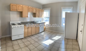 Allston/brighton Border Apartment for rent 4 Bedrooms 2 Baths Boston - $4,400