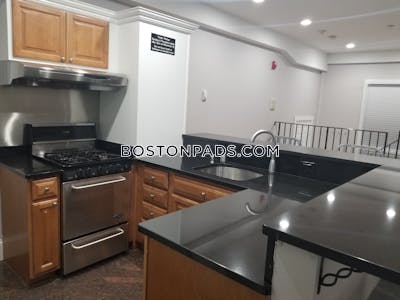 Downtown 1 Bed 1 Bath Boston - $2,800