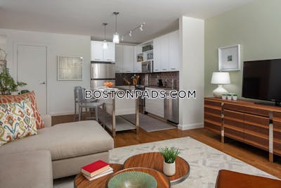 Downtown Apartment for rent 1 Bedroom 1 Bath Boston - $4,080