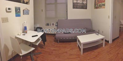 Downtown 1 Bed 1 Bath Boston - $2,150