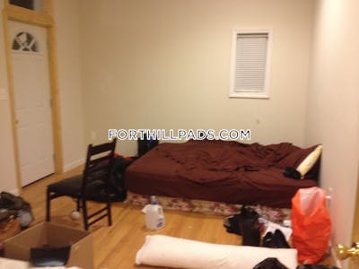 Roxbury Apartment for rent 5 Bedrooms 2 Baths Boston - $5,000