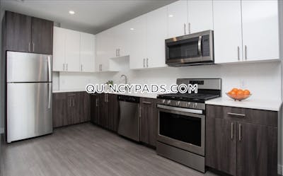 Quincy Apartment for rent 1 Bedroom 1 Bath  Quincy Center - $2,549