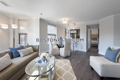 Back Bay 1 bedroom  baths Luxury in BOSTON Boston - $4,043