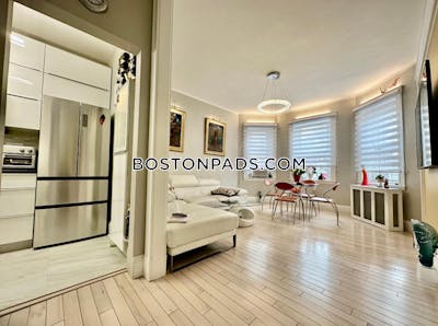 Brighton Apartment for rent 1 Bedroom 1 Bath Boston - $2,800