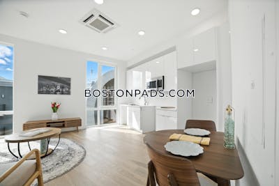Brighton Apartment for rent -1 Bedrooms 1 Bath Boston - $3,025 No Fee